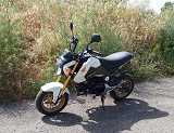HONDA MONKEY