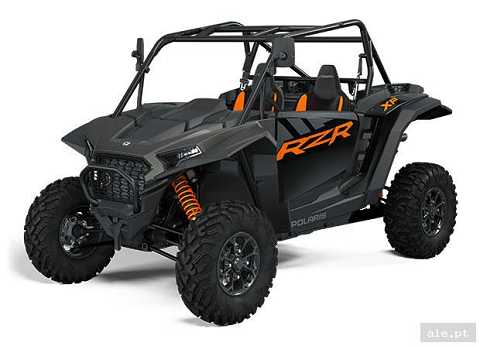 POLARIS RZR 