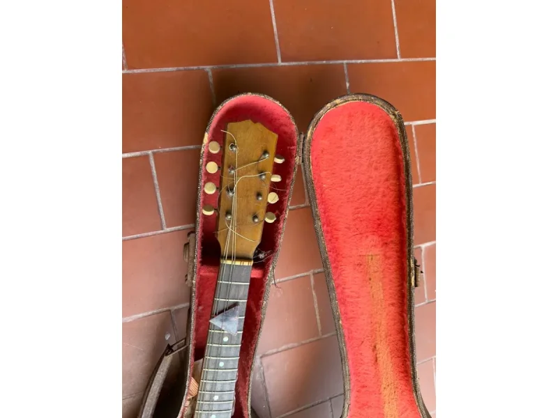 Banjo/Bandolim Marca Gracio Para Restaurar ano 1950